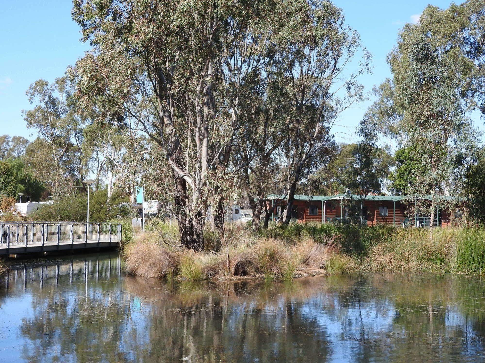 Victoria Lake Holiday Park เชปเปอร์ตัน ภายนอก รูปภาพ